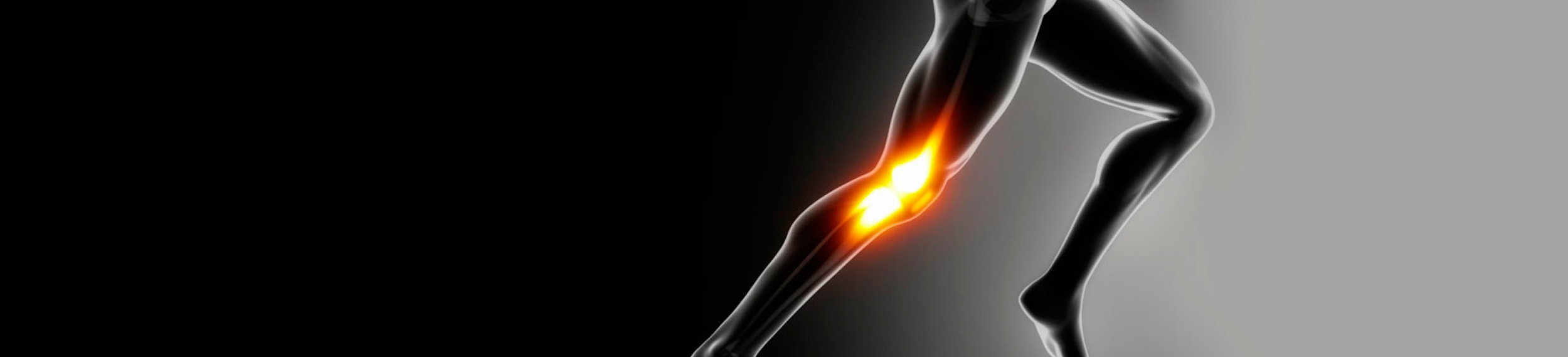 Thompson Orthopaedics